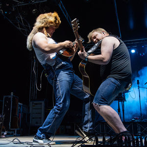 Steve'N'Seagulls