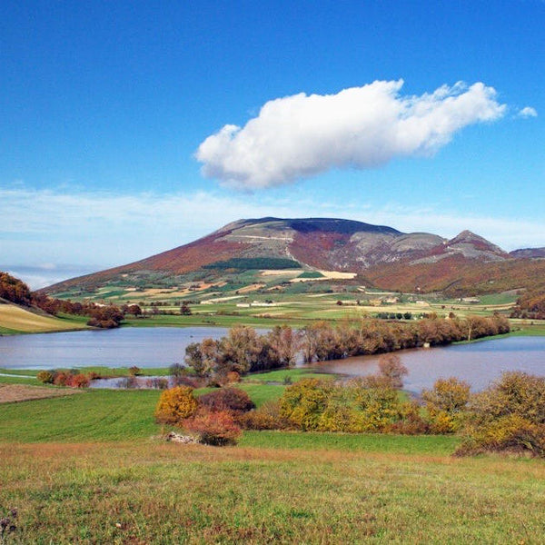 Escursioni alla scoperta del territorio
