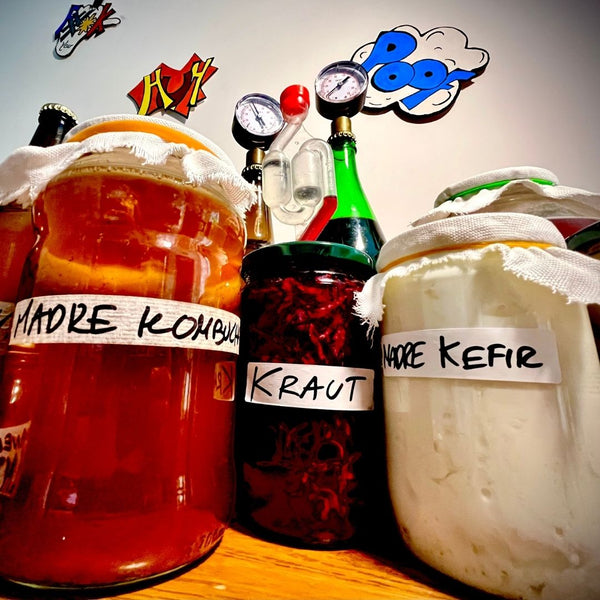Tecniche di fermentazione: Percorso teorico e pratico per produrre kefir, kombucha e lattofermentati
