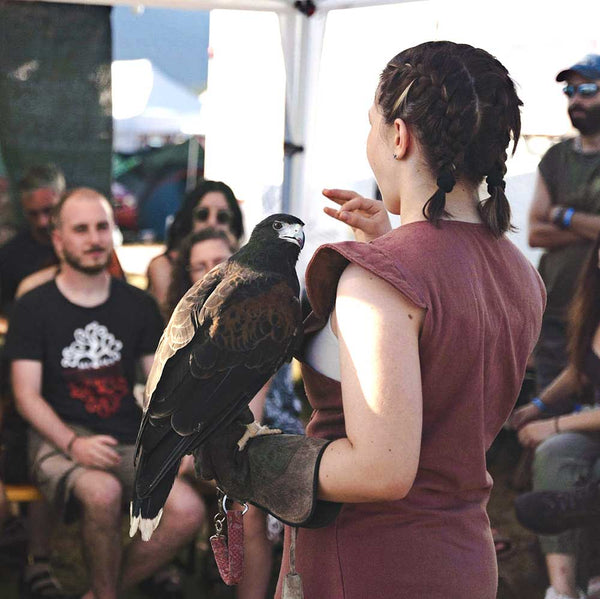 Falconeria